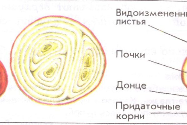 Блэк спрут ссылка пв 1blacksprut me