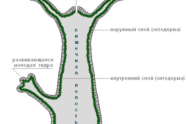 Ссылка официального сайта блэкспрут