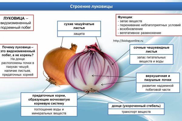 Bs gl официальный сайт