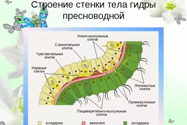 Рабочий блэк спрут