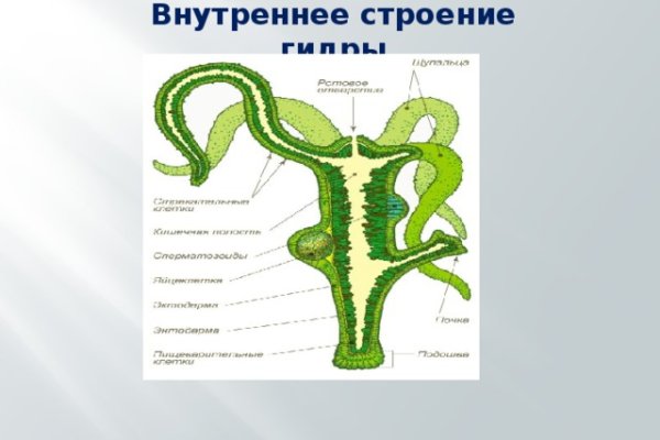 Клир ссылка на blacksprut 1blacksprut me